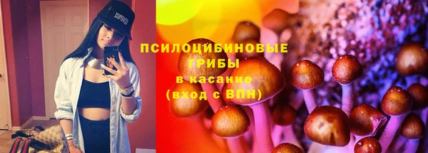 мет Приозерск