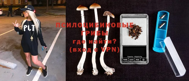 Галлюциногенные грибы Psilocybine cubensis  кракен зеркало  Абинск 