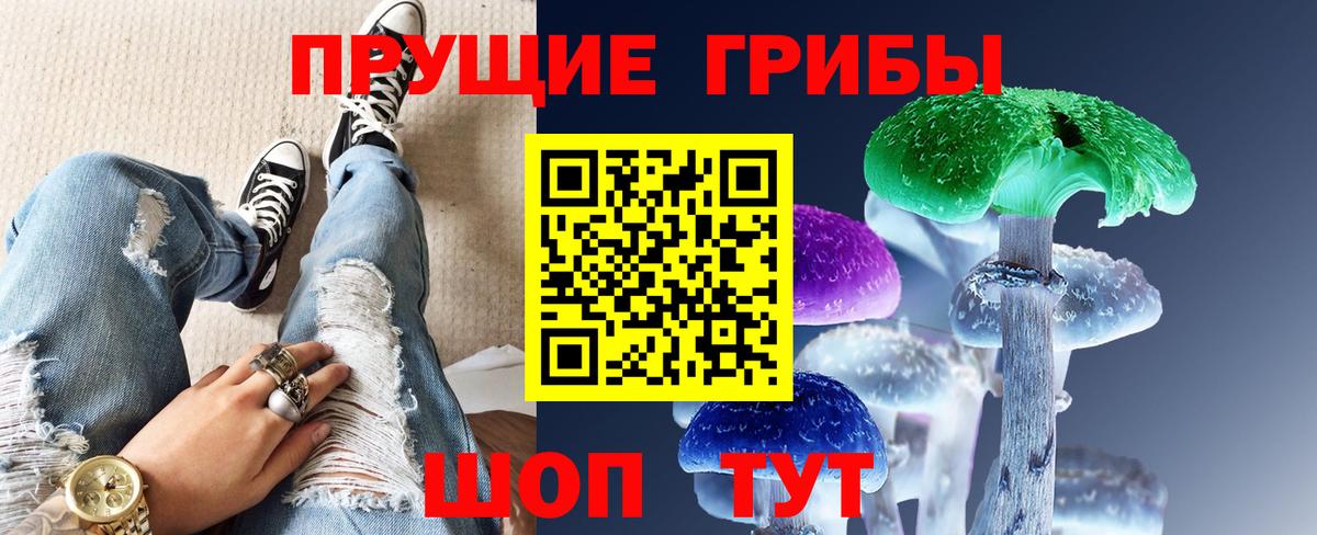 Галлюциногенные грибы Psilocybine cubensis  купить   Абинск 