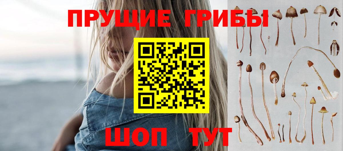 Галлюциногенные грибы Psilocybine cubensis Абинск