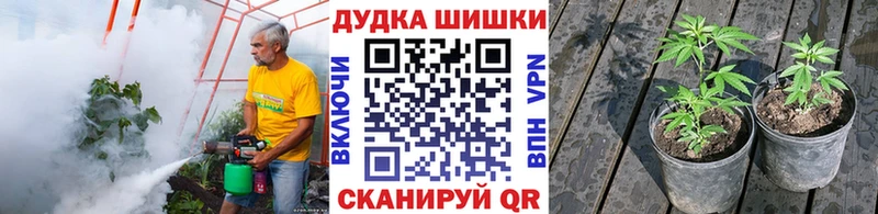 Марихуана SATIVA & INDICA  Абинск 